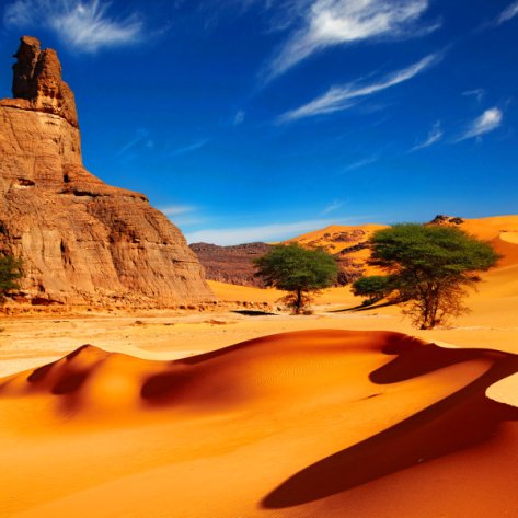 algeria-sahara-desert-usp