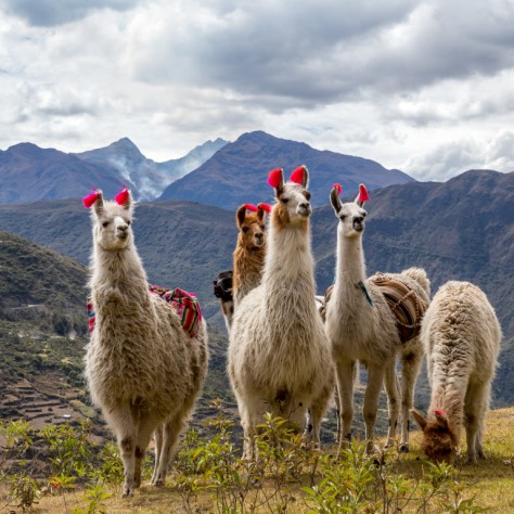 Perù: cultura e tradizioni